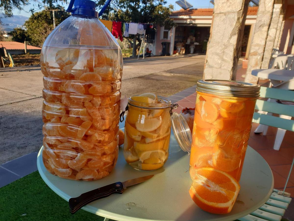 בית הארחה Fundão 	Quinta De Sao Marcos מראה חיצוני תמונה